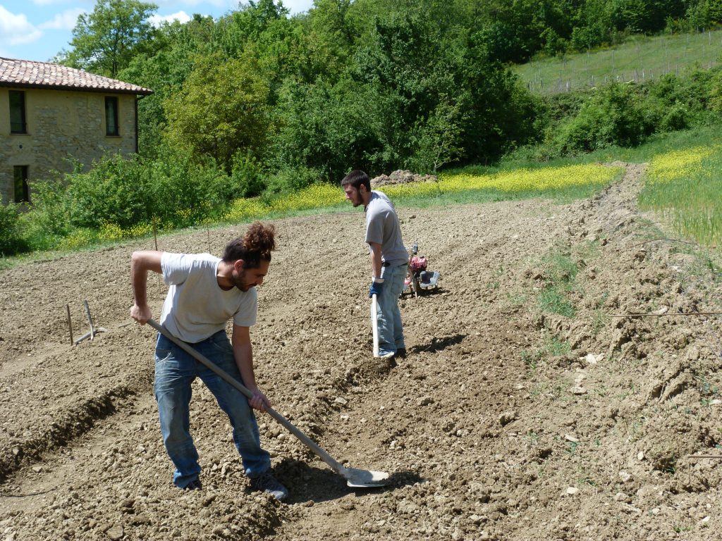 Permacultura in Agriturismo